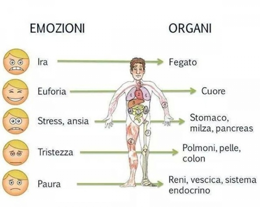 I disturbi d’ansia e depressivi tra medicina e psicologia – Terza parte